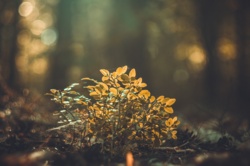 8c648f46-9670-4463-9e94-f1a187eb8379