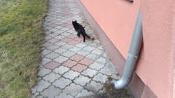 8d9b9642-051a-486e-aba2-728e56647ed2