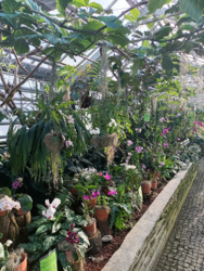 2351cb2c-d436-4367-9750-b4198554d1cb