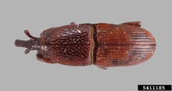 c29d64f4-7eaa-4988-8ba8-b6f82eeb0e37