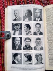 e56124a6-06fc-4f77-afb9-89facefc5686