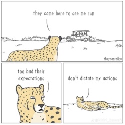 4c266714-cbf4-46ec-bd28-6891e49a4d18