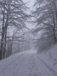 28ae0da7-949f-4dae-a8ef-69bc99eaba37