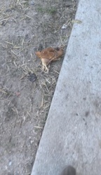 8847b171-1691-4dba-90b5-d8e4387d05a7