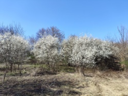 23db604d-05c8-4483-8f3c-2e4fca77da15