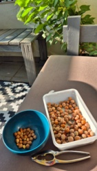 48d3200b-8d25-4ea4-9992-a8406c6631e3