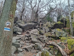 4da01081-8e88-4660-8ffc-b62393abb785