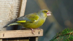 d74de103-674d-49d0-aa75-8454b4a3a70d