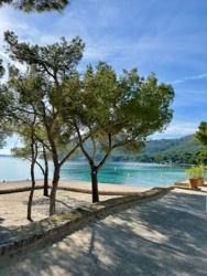 fc7c0c0f-5d42-4613-8594-cceb91e9be86