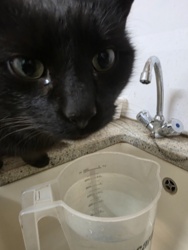 b1c6f2d3-69d9-424a-be38-f68c714acbf4