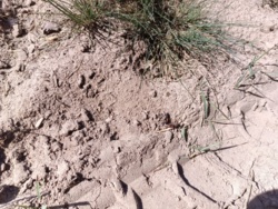 95e41735-d190-4f86-946d-d7dbafeb1ef9