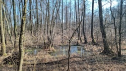 46cf46e8-d712-4260-a52a-1595c0c66734