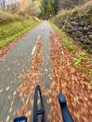 c97d7fc2-8017-46da-aa34-dfcf5ecfd9ee