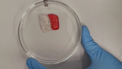 Naukowcy z Łukasiewicza opracowali hydrożele z polimerów naturalnych, ze zdolnością do samonaprawy