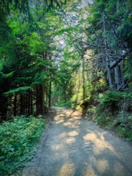 de5bbe94-2844-4282-bc94-643d29e0e8de