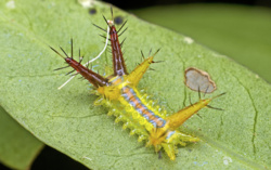 c6ffd284-1b3b-4c01-8d36-2c58e7840ecb