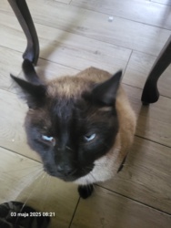 4214ea10-9de7-4d68-9c60-2662be20d026