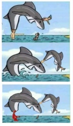 e41d53ec-a052-4cd5-9487-94a95c51c07d