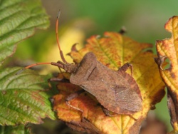 e5475552-f0c7-4c9c-882d-296f4ff14ab5