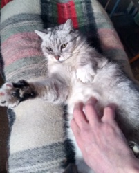 2d565839-aec6-4efe-84f6-75ed02d7059e