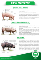 d58b38ff-4537-40db-9815-19ed8aec5bd6