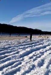 cb531d01-f270-4201-ba6f-990317f348d0