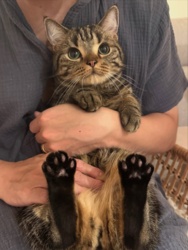 2cc94a28-dd7e-4c8e-88b2-b81f2977cf0d