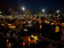 f3e1b4e6-502c-4d7d-8050-db3c9b0f27f7