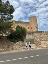 00da31c2-52f0-4ed0-a2e1-21abaa0d3898