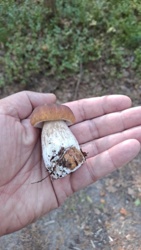 78287716-afcc-4152-ab87-112fcdcf3d1e