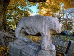 b0077a62-1809-4af1-b27e-cc6972c7ebac