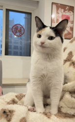 0fe58f80-6101-440a-a697-c3b60bde46dc