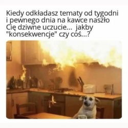 18089be2-5354-4d30-b72b-738b69def60d