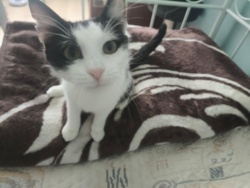 a7e5e4e6-ecd6-444f-8dbc-03c013fff8c2