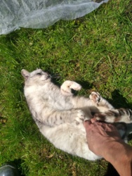 8c95fd19-ad2a-4aaf-83f5-cedbd31b7a16