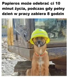 4da170c3-c678-426e-a93b-144a77aa1ce2