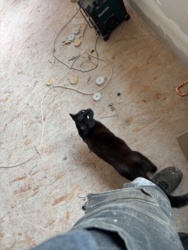 74ddabfe-87e6-4698-9a43-51b98c9cf88c