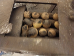 55893d04-b065-41ad-be99-c15b4b5bdeea