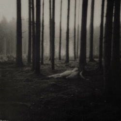 9a27b35f-bd04-4130-9aac-957a7e06f08d