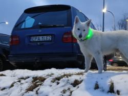 f5c65d9e-1f57-4c10-98bc-8c1bb7022d3d