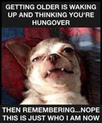 81fa2776-7b2c-406a-9e7c-eda79f63a69e