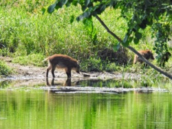 6e9f82ad-ba4a-46c5-a2b6-b7b64d7119c6