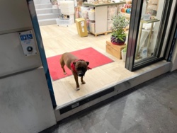 96fb4dd0-5d60-4d6e-9ffd-e850041e770e