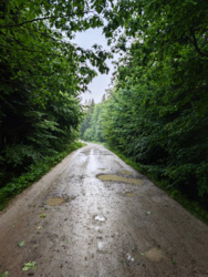 bb48c9e5-43cf-415f-b4a6-60bc0012656c