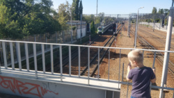 3291c031-cd20-49e0-922f-3bcb3fbdd6c9