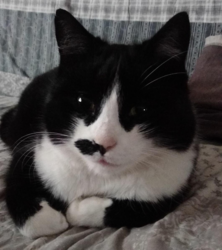 ddcda4ac-bb6f-4515-9109-6414d394df34