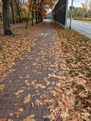 60c3d80d-b92d-4b9e-bf1f-434c6476a107