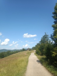 f24c542c-d4c7-422f-8673-ad5a74e44b6a