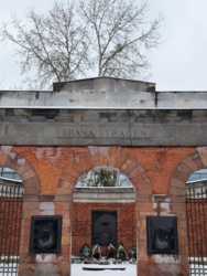 33a3a81c-7036-49d0-9786-32ffd2e40e99