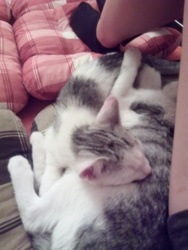 df410438-8f76-4a18-8caa-bbb8e71bb3ac